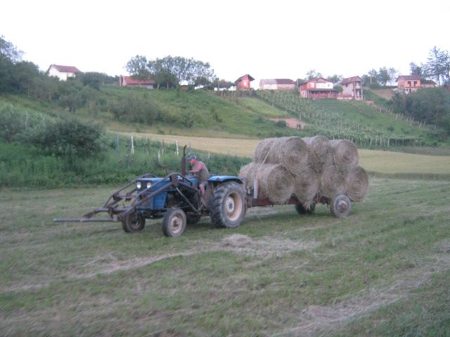 Spremanje sijena 2014 - foto povečava