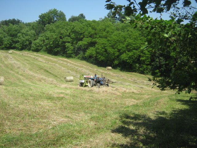 Spremanje sijena 2014 - foto povečava