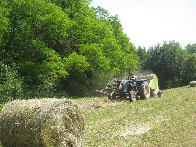 Spremanje sijena 2014 - foto povečava