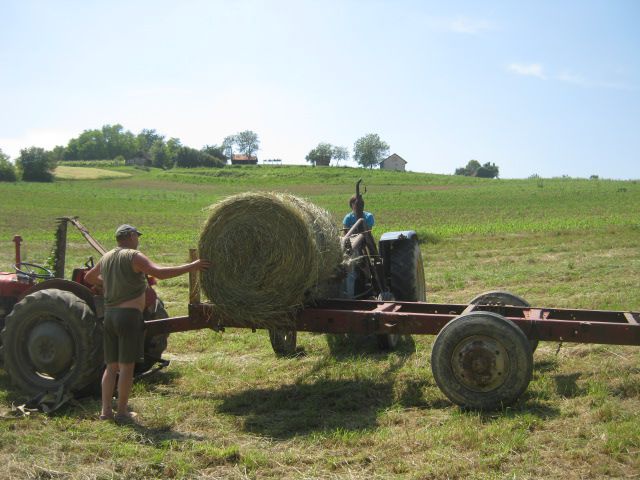 Spremanje sijena 2014 - foto povečava