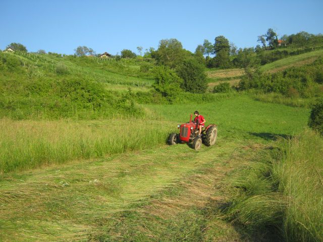 Spremanje sijena 2014 - foto povečava