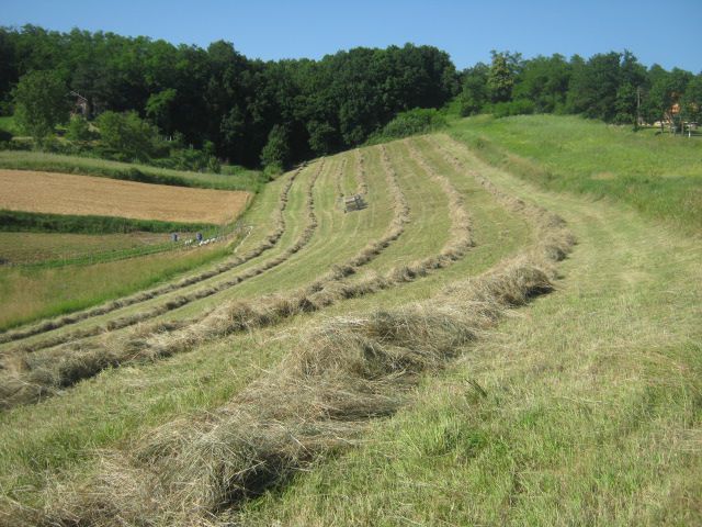 Spremanje sijena 2014 - foto povečava