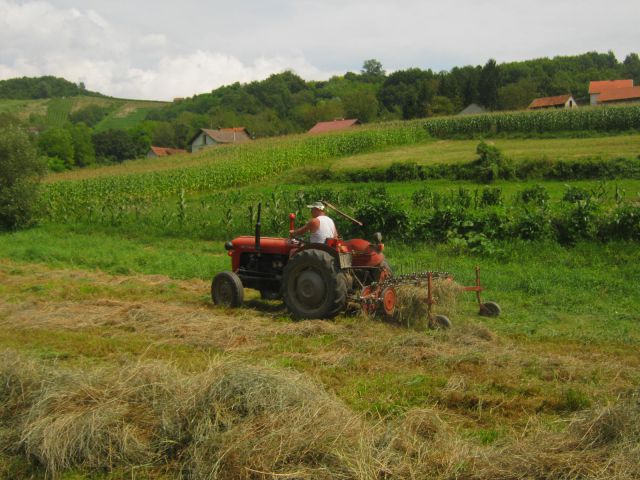 Spremanje otave,lucerne 2014 - foto