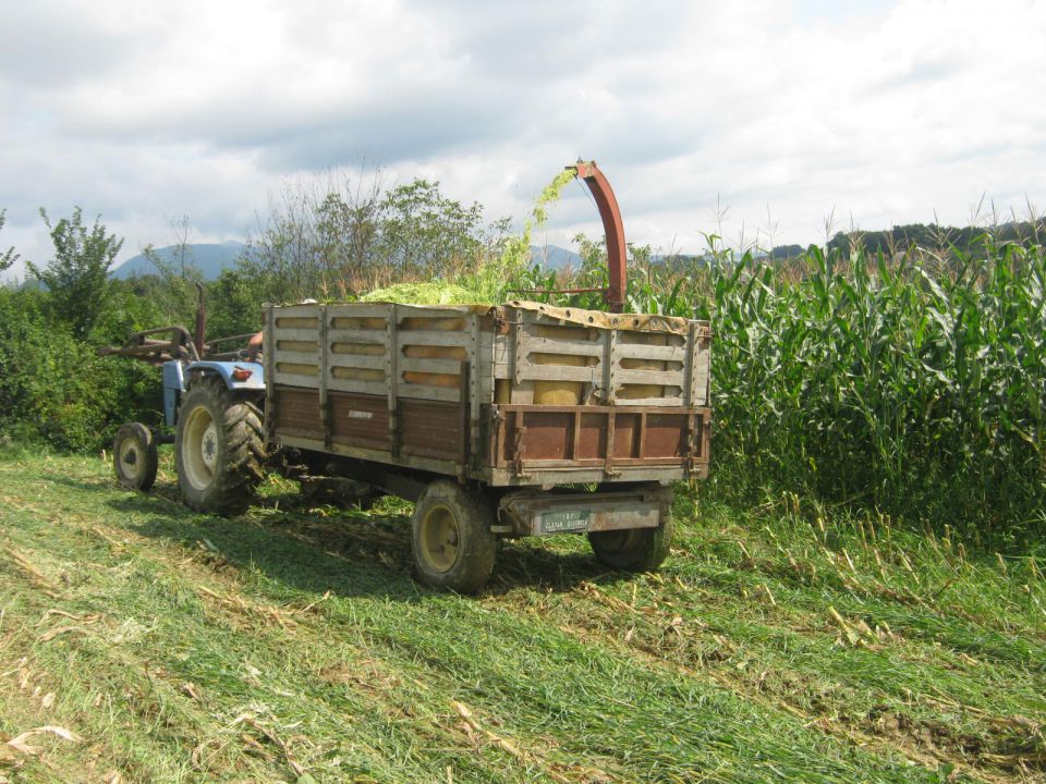 Silaža 2014 - foto povečava