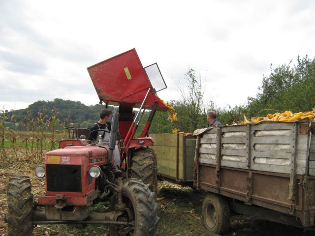 Berba kukuruza 2014 - foto