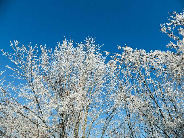 Okolica Kamnika - foto