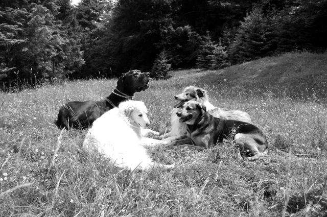 Klapa 3 - foto