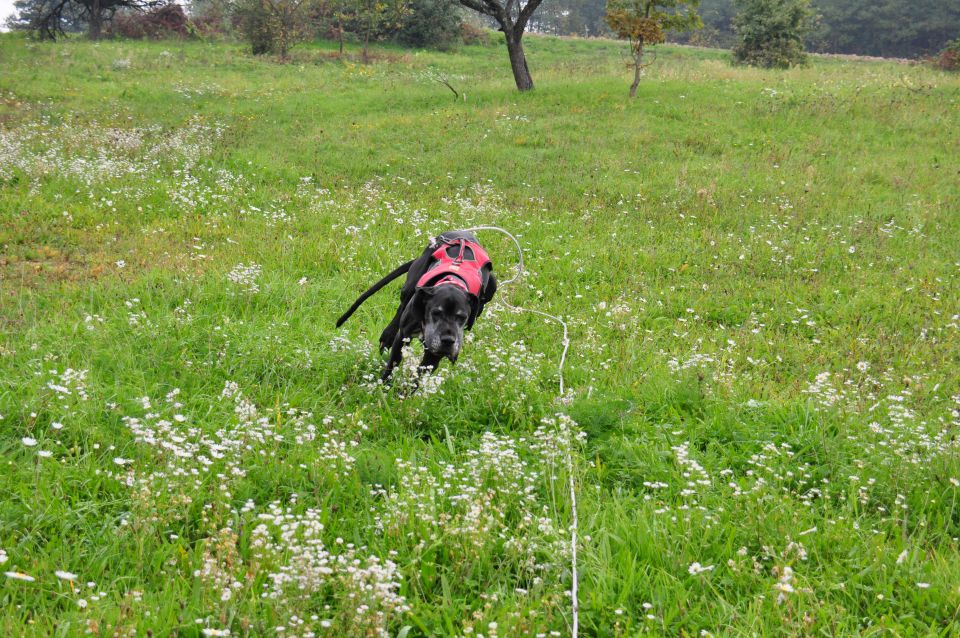 Dopust 2013 - foto povečava