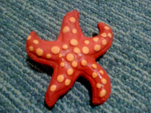 Morska zvezda 1