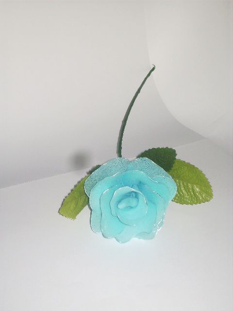 Modra vrtnica