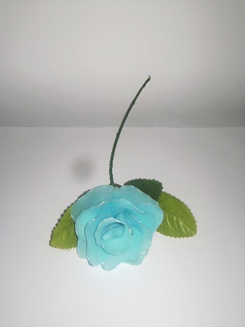 Modra vrtnica - foto