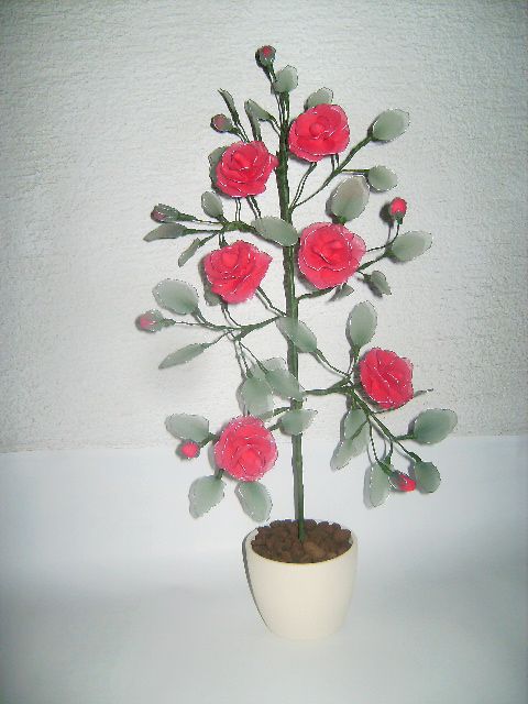 Rdeča vrtnica na steblu - foto