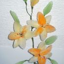 oranžno-rumena lilija