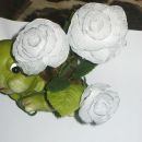 bela vrtnica z rosnimi kapljicami