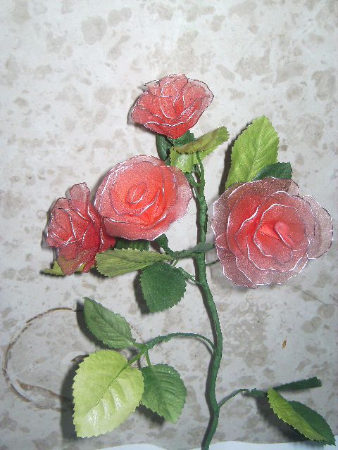 Rdeče vrtnice v lončku