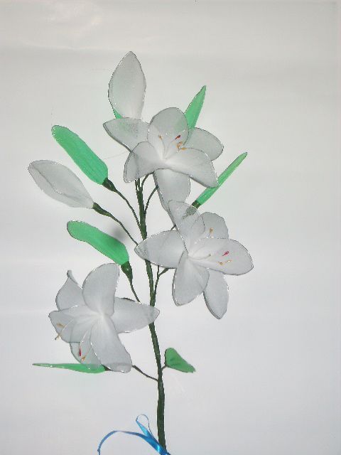 Bele lilije - foto