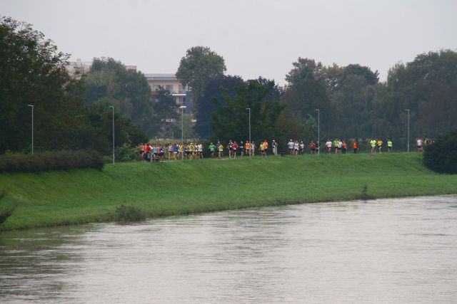 23. Ptujski mali maraton 2014 - foto