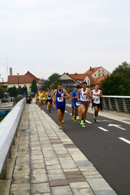 23. Ptujski mali maraton 2014 - foto