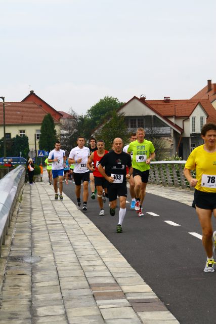 23. Ptujski mali maraton 2014 - foto