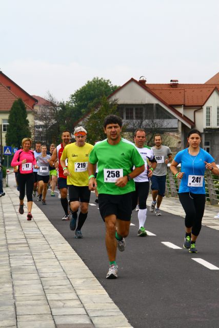 23. Ptujski mali maraton 2014 - foto