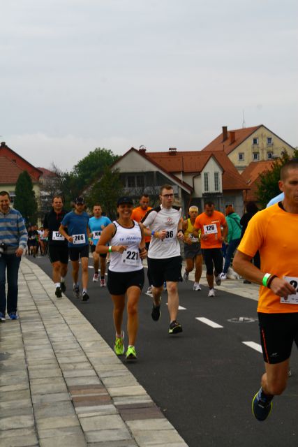 23. Ptujski mali maraton 2014 - foto