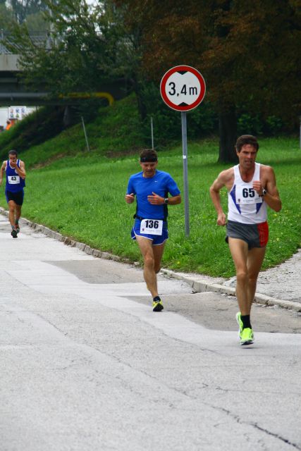 23. Ptujski mali maraton 2014 - foto