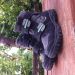 Superfit 31, 12 eur (plus ptt)