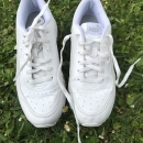 Puma 41