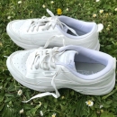 Puma 41