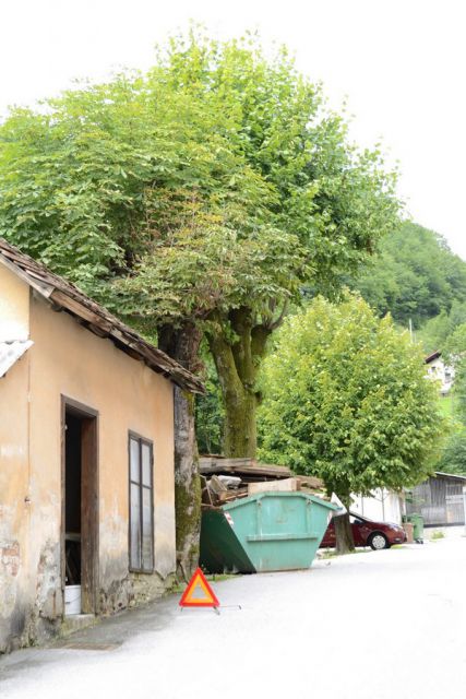 Postopek obnove žehtnice - foto