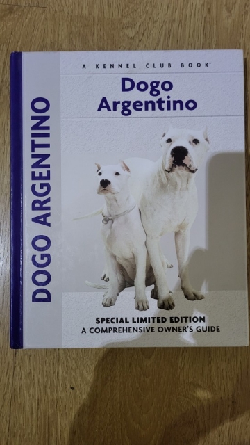 Dogo argentino - foto