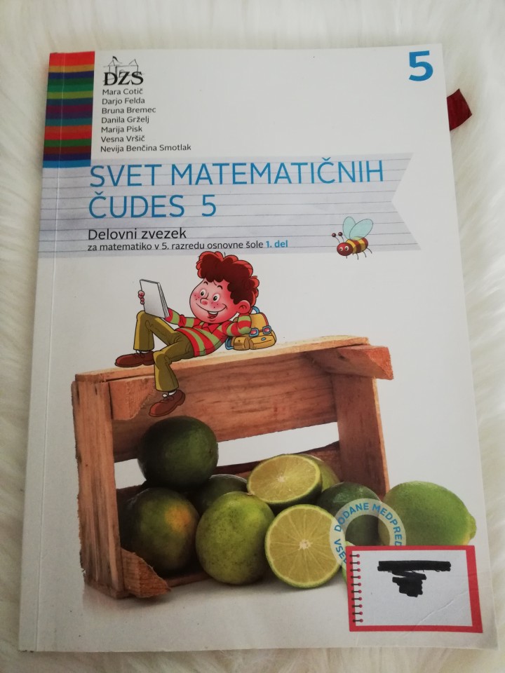 Svet matematičnih čudes 5. Delovni zvezek