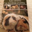 Kako skrbimo za morskega prašička
