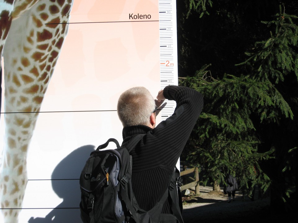 Fotograf prepočasen, da bi uspel zabeležiti Skokija, ko se s fotrom merita v višino