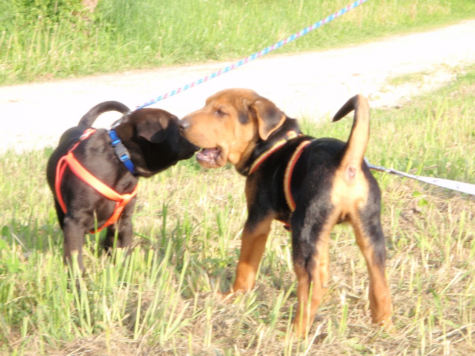 Clay&tyson - foto povečava