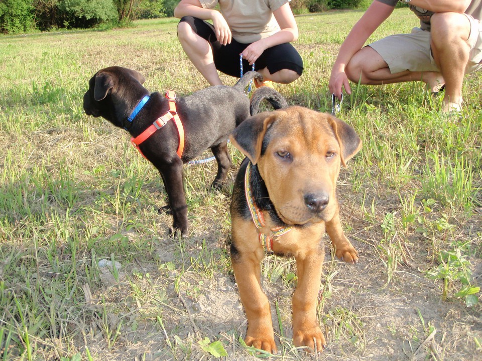 Clay&tyson - foto povečava