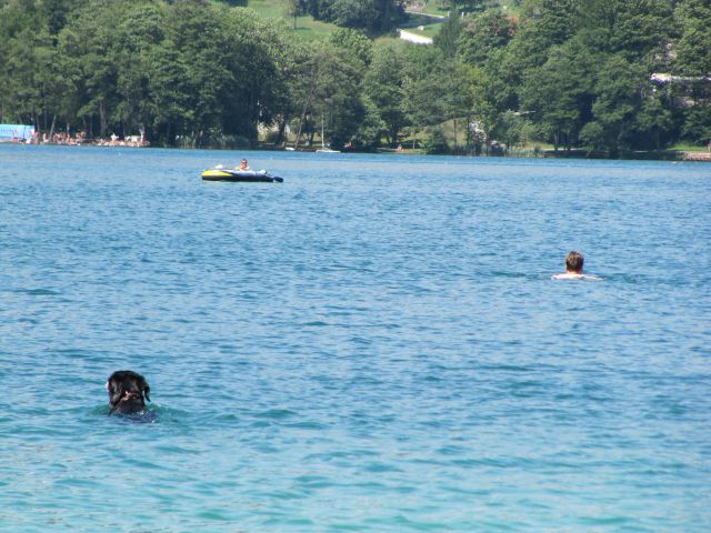Plavanje na Bledu - foto