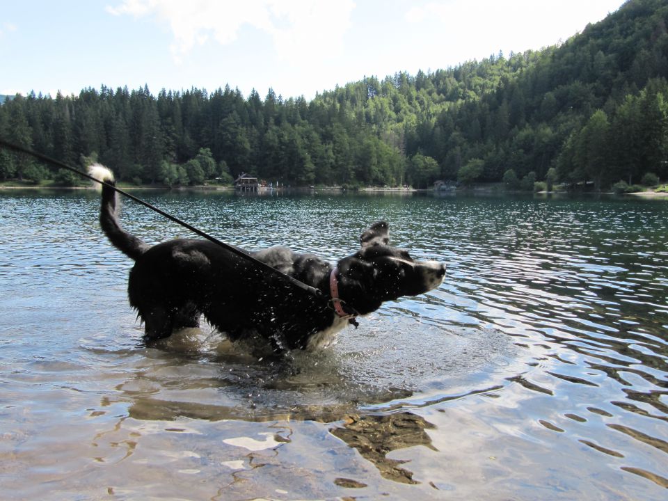 Potepanje po julijskih dolinah - foto povečava