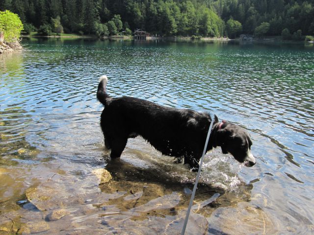 Potepanje po julijskih dolinah - foto