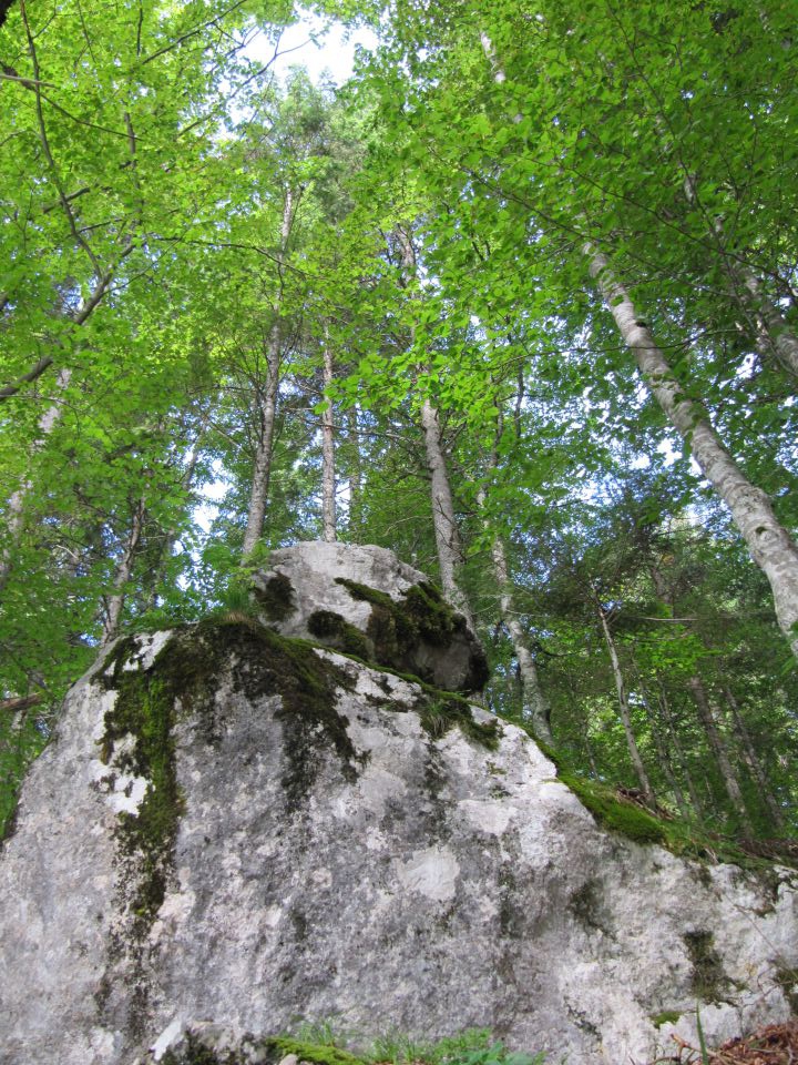 Potepanje po julijskih dolinah - foto povečava