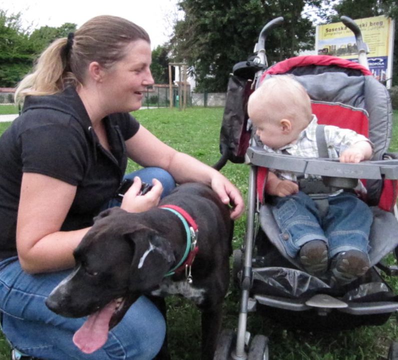 Sladke skrivnosti bežigrajske - foto povečava