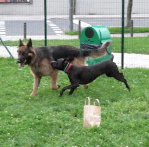 Sladke skrivnosti bežigrajske - foto