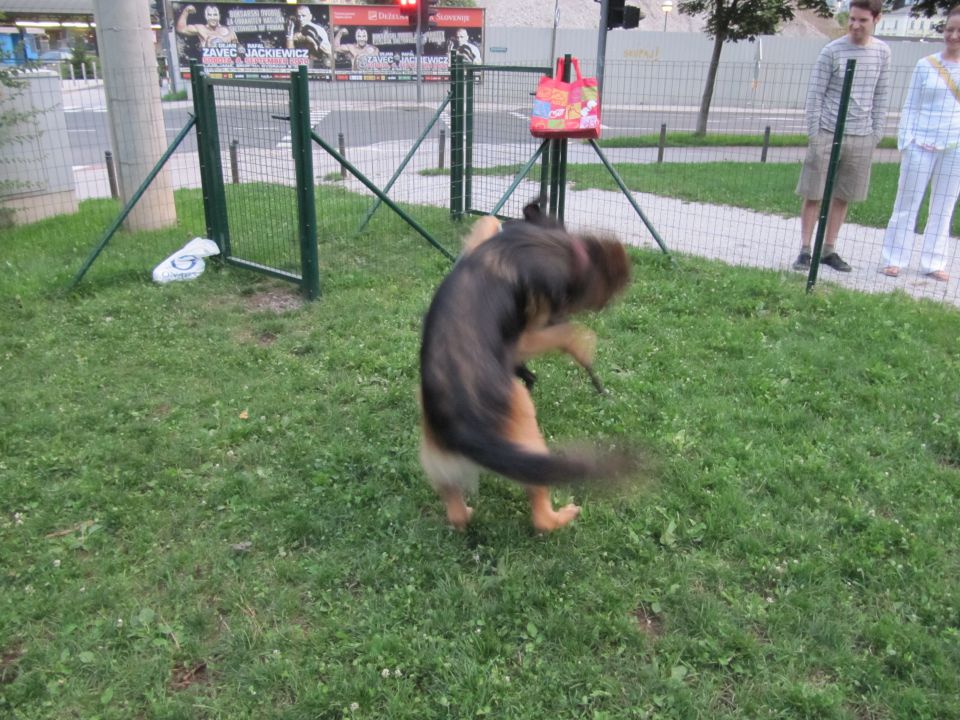 Sladke skrivnosti bežigrajske - foto povečava