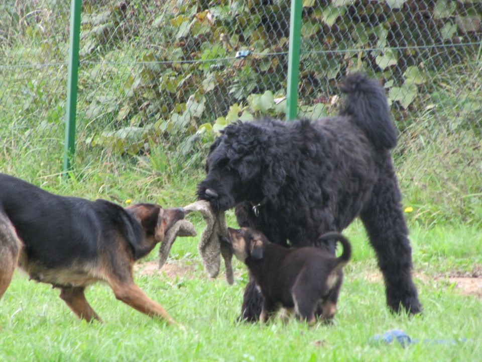 Roxa in Roma - foto povečava