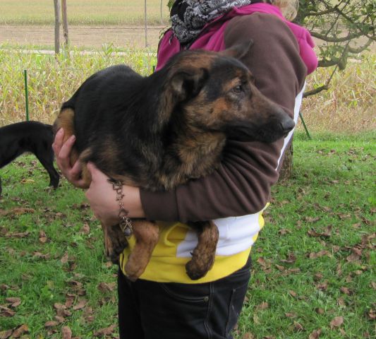 Roxa in Roma - foto