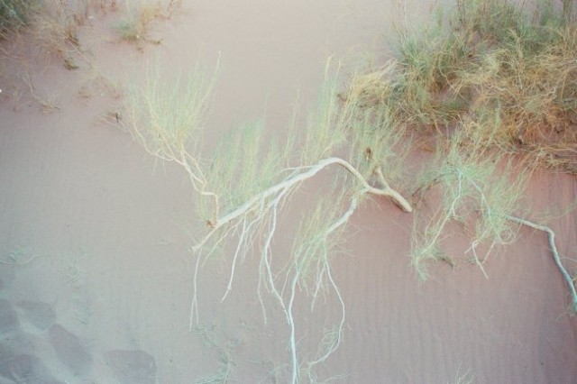 Wadi Rum, 4.11.05