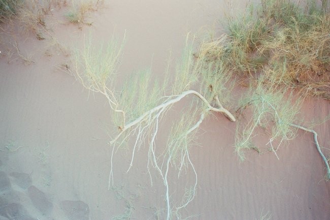 Wadi Rum, 4.11.05
