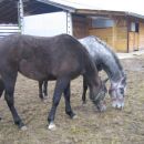 Mis in Silvester