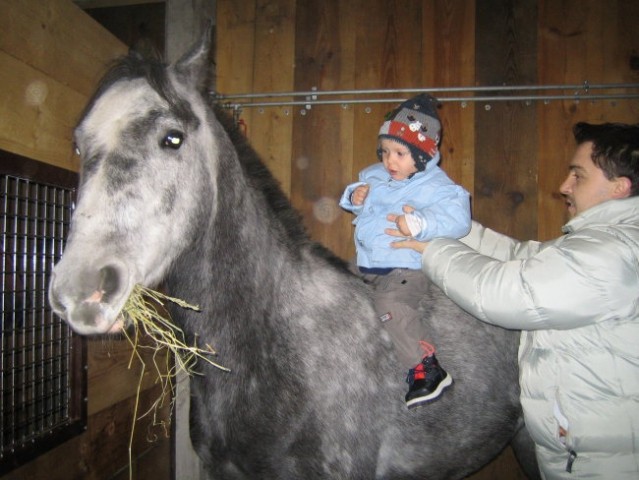 Mis in Silvester - foto