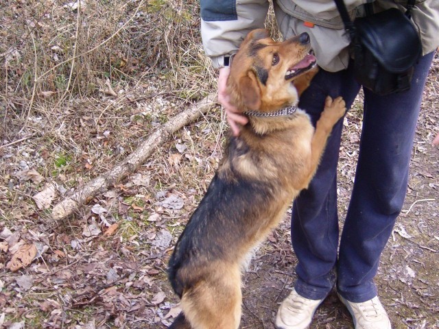 Srečanje- Kranj 23.1.2005 - foto povečava